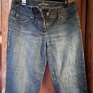 EUC Ann Taylor Blue Straight Leg Jeans Classic Style Sz 10